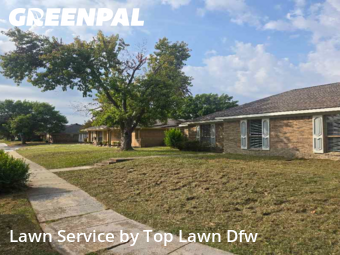 Grass Care in Rowlett, 75089, Lawn Management by Top Lawn Dfw, work completed in Dec , 2025