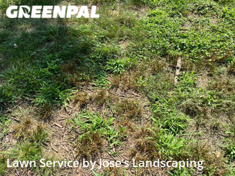 Grass Cut nearby Centreville, VA, 