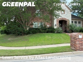 Lawn Mowingin Plano,75093,Lawn Maintenance by Alfas Landscaping, work completed in Jun , 2026