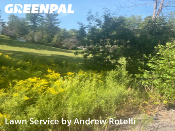 Lawn Mowing Service nearby Baldwinsville, NY, 