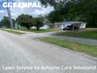 Lawn Mowing Service nearby Tampa, FL, 