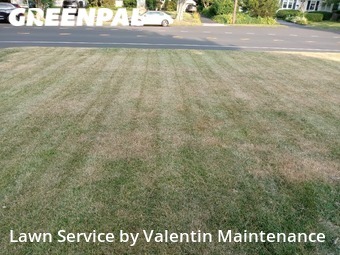 Lawn Care nearby Fairfield, CT, 