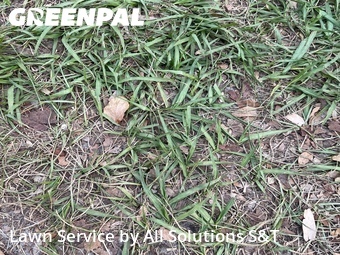 Lawn Care nearby Winter Haven, FL, 