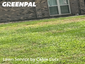Grass Cuttingin Murfreesboro,37129,Lawn Mowing Service by Cajun Cuts, work completed in Jun , 2026