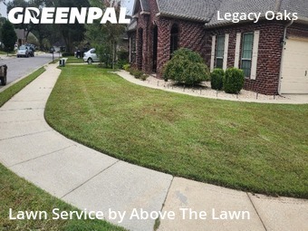 Turf Services in Pensacola, 32514, Yard Upkeep by Above The Lawn, work completed in Nov , 2025