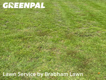 Lawn Care nearby Gonzales, LA, 