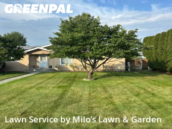 Work completed by local-lawn-care-services-in-Richland-CA