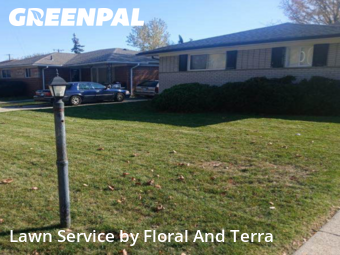 Grass Care in Southfield, 48075, Yard Work by Floral And Terra , work completed in Nov , 2025