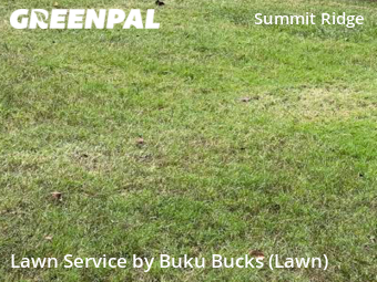 Lawn Cutting nearby Raleigh, NC, 