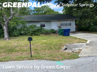 Lawn Mow nearby Tampa, FL, 