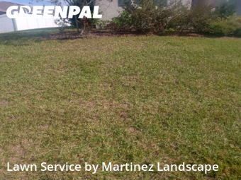 Property Maintenance in Leesburg, 34748, Yard Cutting by Martinez Landscape, work completed in Dec , 2025