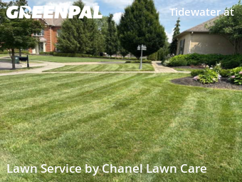 Grass Cut nearby New Albany, OH, 