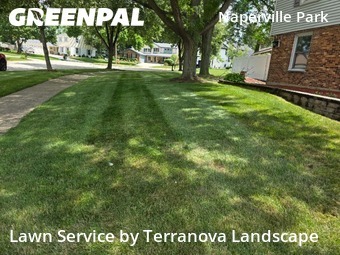 Lawn Cut nearby Naperville, IL, 