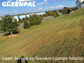 Yard Cutting nearby Breinigsville, PA, 