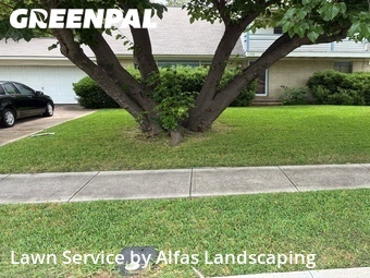 Yard Cuttingin Richardson,75081,Yard Mowing by Alfas Landscaping, work completed in Jun , 2026
