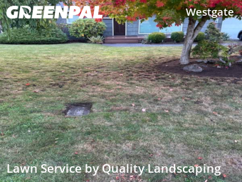 Yard Mowing in Edmonds, 98020, Yard Care Services by Quality Landscaping, work completed in Nov , 2025