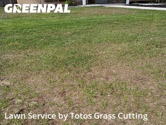 Lawn Care nearby Orlando, FL, 