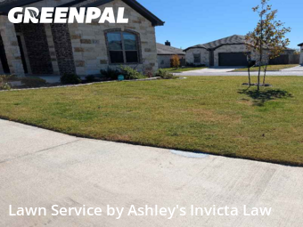 Yard Upkeep in Temple, 76502, Yard Mowing by Ashley's Invicta Law, work completed in Nov , 2025