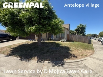 Grass Cut nearby Antelope, CA, 
