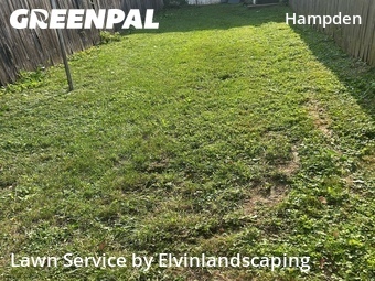 Yard Cutting nearby Baltimore, MD, 