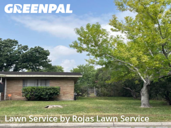 Yard Cutting nearby San Juan, TX, 