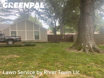 Grass Cut nearby Olive Branch, MS, 