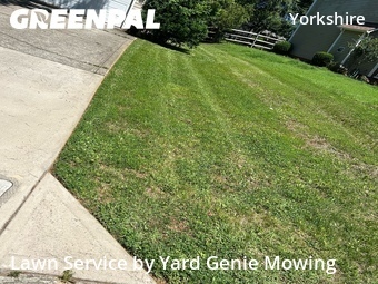 Grass Cutting nearby Charlotte, NC, 