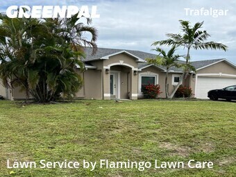 Lawn Mow nearby Cape Coral, FL, 