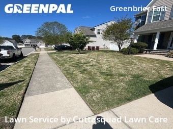 Lawn Mow nearby Chesapeake, VA, 
