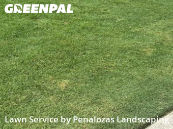 Lawn Mowing nearby Cumming, GA, 