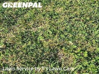 Grass Cutting nearby Clarksville, TN, 