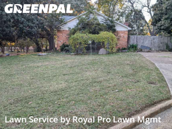 Lawn Management in Olive Branch, 38654, Yard Maintenance by Royal Pro Lawn Mgmt, work completed in Nov , 2025