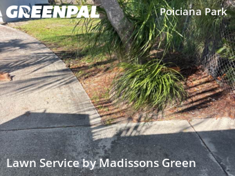 Property Maintenance in West Palm Beach, 33405, Lawn Cutting by Madissons Green, work completed in Nov , 2025