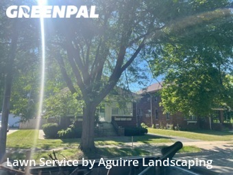 Lawn Mowing nearby Joliet, IL, 