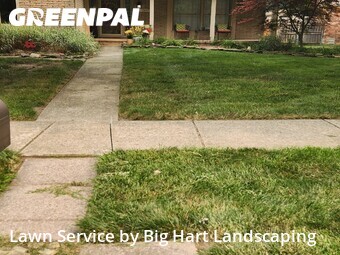Lawn Care Service nearby Macomb, MI, 