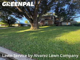 Lawn Cuttingin Altamonte Springs,32701,Yard Cutting by Alvarez Lawn Company, work completed in Nov , 2025