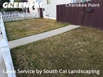 Yard Cutting nearby San Diego, CA, 