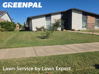 Yard Mowingin The Colony,75056,Lawn Cut by Lawn Expert, work completed in Nov , 2025