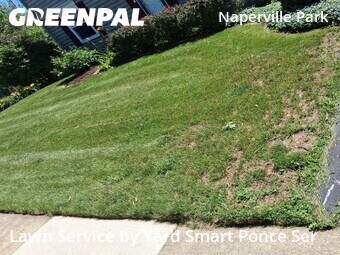 Grass Cut nearby Naperville, IL, 