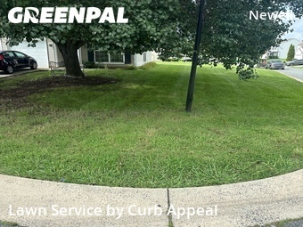 Grass Cut nearby Charlotte, NC, 