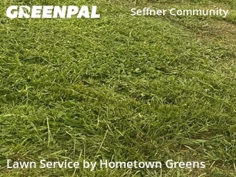 Lawn Maintenance nearby Seffner, FL, 