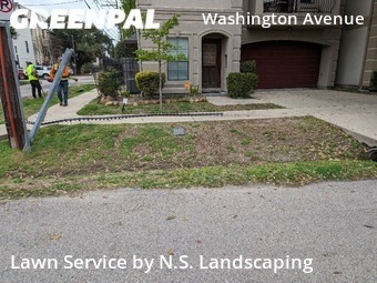 Grass Cut nearby Houston, TX, 
