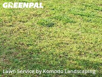 Lawn Maintenance nearby Duluth, GA, 