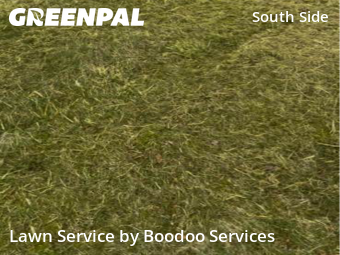 Grass Cut nearby Pittsburgh, PA, 