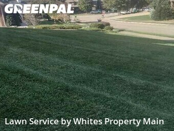 Grass Cut nearby Knoxville, TN, 