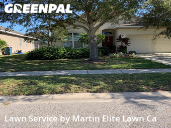 Lawn Cut nearby Wesley Chapel, FL, 
