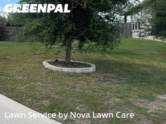 Lawn Mow nearby Round Rock, TX, 