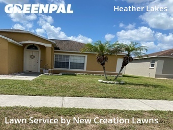 Lawn Cutin Brandon,33511,Lawn Cutting by New Creation Lawns, work completed in Jun , 2026