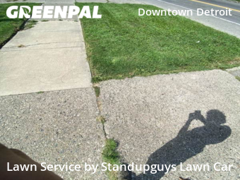 Lawn Cutting nearby Detroit, MI, 