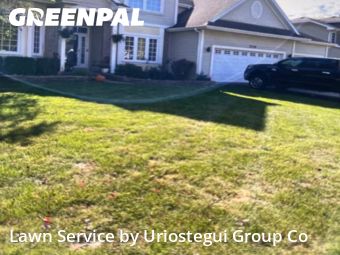 Lawn Care Service nearby Winthrop Harbor, IL, 